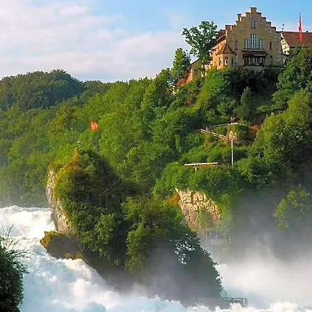 Hotel Landgasthof Rebstock 3*